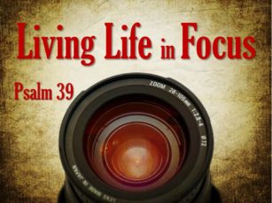 Living Life in Focus