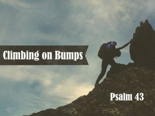 Climbing on Bumps