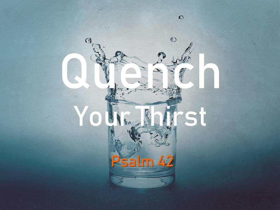Quench Your Thirst Pine City Evangelical Free Church