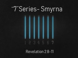 “7” Series- Smyrna