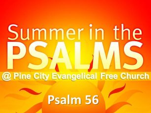 Summer in the Psalms- Psalm 56